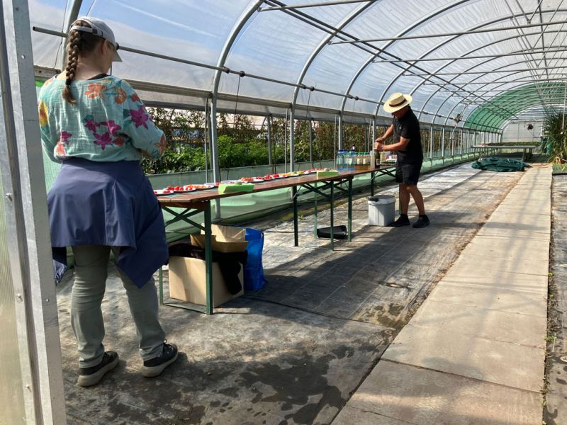 17 burri apero einrichten